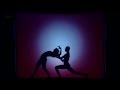 Hungarian Shadow Dancers - Britain's Got Talent 2013