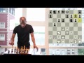 chess openings