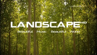 15 - The Landscape Channel - Art of Landscape - Archive Compilation