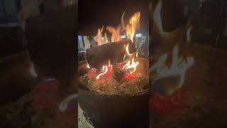 Camp Fire In Japan