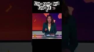 Rat Runs Across Live Tv Set Hosts Shocked Reaction Goes Viral