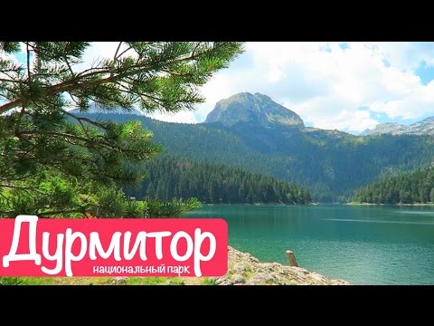 Как сделать инвентаризацию в 1С? Как сделать БУКЕТЫ ИЗ