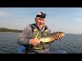 Fishing for Huge Cutthroat Trout in Yellowstone National Park