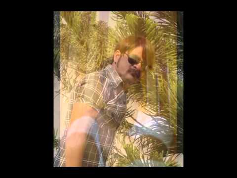 ME PAL DO PAL KA SHAYAR HU VD