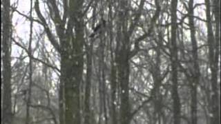 Watch Current 93 December 1971 video