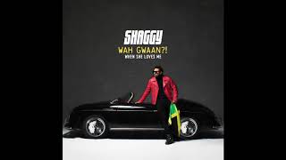 Watch Shaggy When She Loves Me video