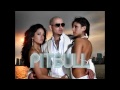 Pitbull Ft.Red Foo, Vein & David Rush - Took My Love (Prod. by LMFAO)2011