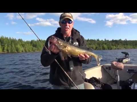 2014 Show #8: Trolling for Open Water Walleye at Ivanhoe Lake