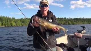 Trolling Crankbaits for Open Water Walleye at Ivanhoe Lake