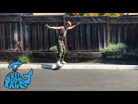 Why I love Everslick - Whale Talk