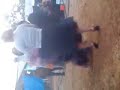 en san juan chamula MESERAS EN 3 CRUZ.mp4