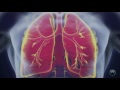 30 Amazing Facts You Didn't Know About The Human Body