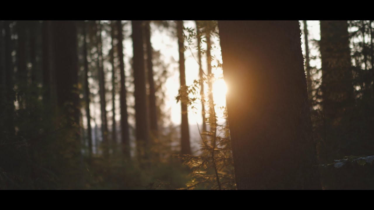 IMAGE CAMPAIGNS | VISUAL MARKETING CONTENT