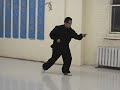 Eight-Posture Form of Xing Yi---Internal Kungfu at Montreal