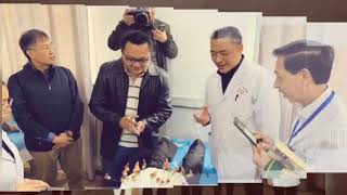 游学赏菊在开封2019