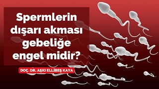 Spermlerin dışarı akması gebeliğe engel midir? Gebe kalmak istiyorum! - Doç. Dr.