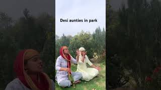 Desi Aunties In Park