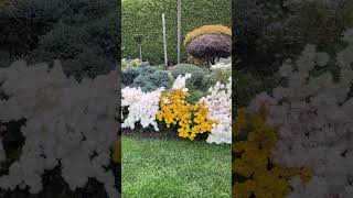 Вже Й Сама Засумнівалася