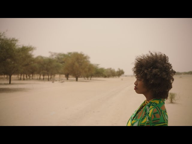 Watch THE GREAT GREEN WALL TRAILER on YouTube.