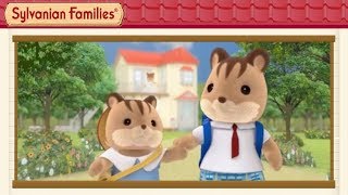 Walnut Squirrel Family Get Ready For School Sylvanian Families Cartoon