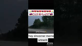 Haxteluenq Hay Zinvori Cavy Tanem