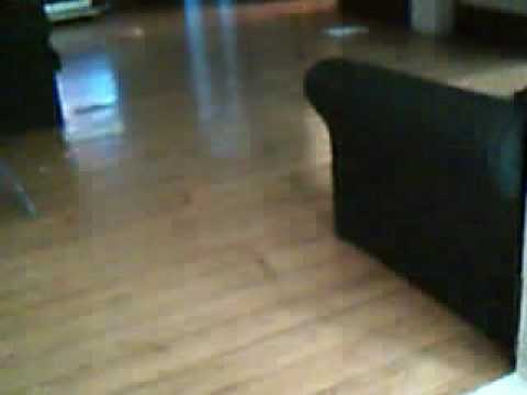 jennifer lopez all i have video. Re: Jennifer Lopez All I have