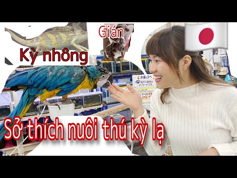 Sở thích nuôi thú cưng kỳ lạ của ng Nhật