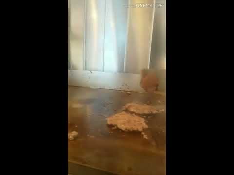 line cook POV "Who's Mike?"