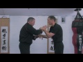 Wing Chun Kung Fu Chi Sau Paak on The Change