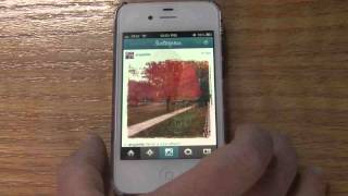 LileStyle Social Media Video Series: How to upload Instagram photos to your Facebook Page