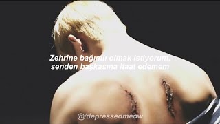 Bts - Blood Sweat & Tears Türkçe Çeviri
