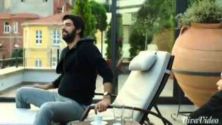 Elifömer Ateş Böceği