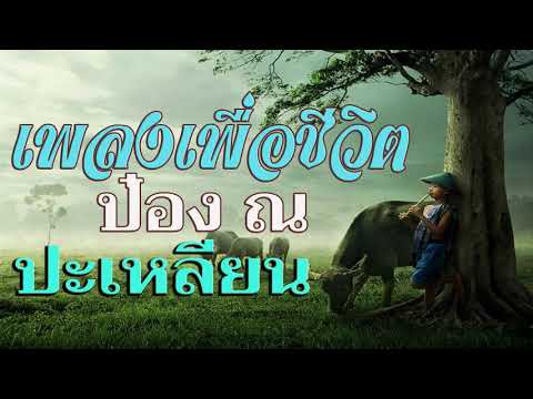 รวมเพลงเพื่อชีวิต#รวมเพลงเพื่อชีวิต ป๋อง ณ ปะเหลียน