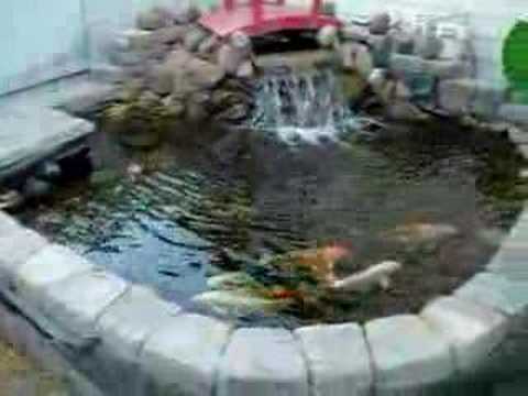 My Koi Pond
