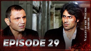 Valley Of The Wolves Ambush Episode 29 Full Hd
