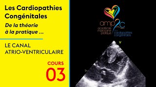 Cours Amp2C, Le C Atrio-Ventriculaire Cav