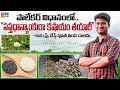Organic Farming Tips | Subhash Palekar Sapthadhanyankura Kashaym | In Telugu By Shiva Agri Clinic