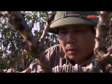 An ninh ngày mới ngày 6.1.2017 - Tin tức cập nhật | hanh trinh pha an An ninh ngày mới ngày 6.1.2017 - Tin tức cập nhật | hanh trinh pha an