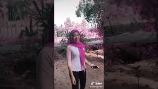 Awek Tudung