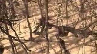 Watch Charlie Hall Psalm 126 video