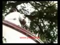 Ara Mina Kissing Scene images Ara Mina Kissing Scene