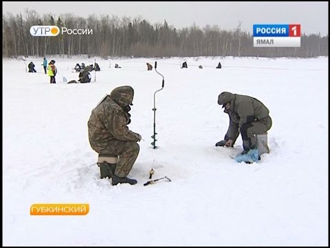 клев в губкинском районе клев в губкинском районе