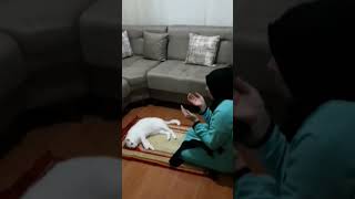 P Aleminide ,Görünen Aleminide Bilen Hz.allah Tır. Haşr Suresi 22-24 Ayet Meâli Abone Olmayı