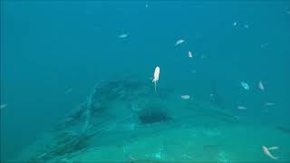 ISE Ghost Wreck expedition Part VII