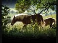 White Horse - Brian Crain