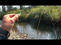 Yellowstone Creek Fishing