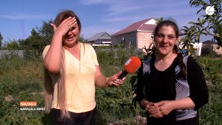 Qayınana Mən Qızı Bəyəndim, Oğlum Isə Razı Oldu - Banu, Salyan