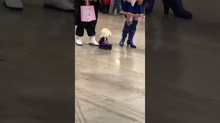 They See Me Rollin They Hatin