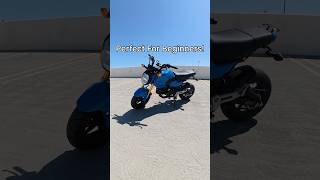 Top 5 Reasons The Honda Grom Is A Great Beginner Bike