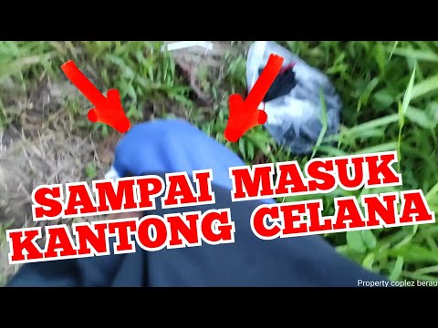 CASTING IKAN GABUS SAMPAI MASUK KANTONG || Vlog Fishing Berau